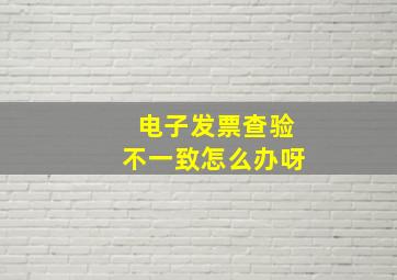 电子发票查验不一致怎么办呀