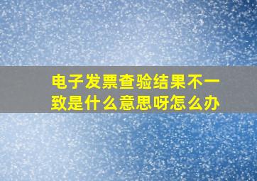 电子发票查验结果不一致是什么意思呀怎么办