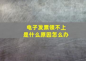 电子发票领不上是什么原因怎么办