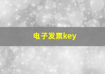 电子发票key