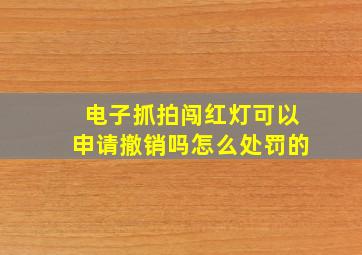 电子抓拍闯红灯可以申请撤销吗怎么处罚的