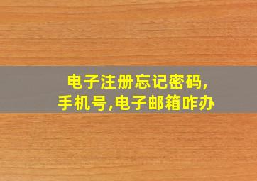 电子注册忘记密码,手机号,电子邮箱咋办