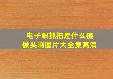 电子眼抓拍是什么摄像头啊图片大全集高清