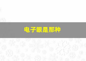 电子眼是那种