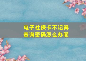 电子社保卡不记得查询密码怎么办呢