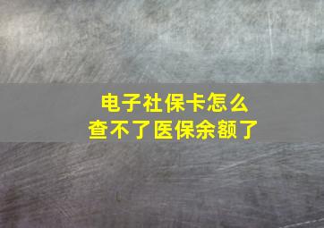 电子社保卡怎么查不了医保余额了