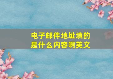 电子邮件地址填的是什么内容啊英文