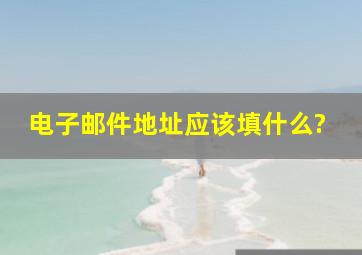 电子邮件地址应该填什么?