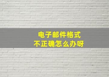 电子邮件格式不正确怎么办呀