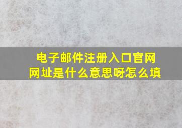 电子邮件注册入口官网网址是什么意思呀怎么填