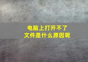 电脑上打开不了文件是什么原因呢