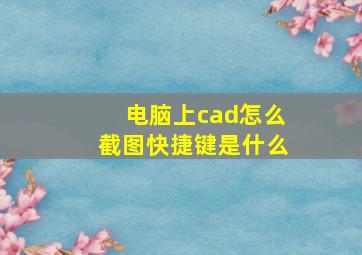 电脑上cad怎么截图快捷键是什么