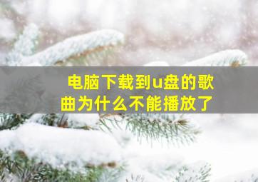 电脑下载到u盘的歌曲为什么不能播放了