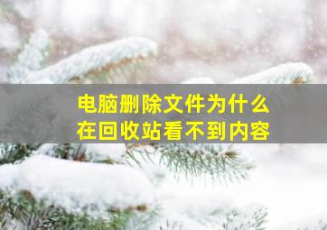 电脑删除文件为什么在回收站看不到内容