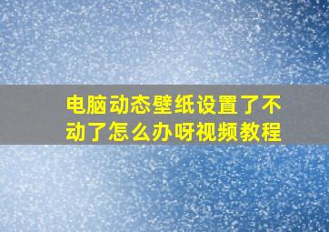 电脑动态壁纸设置了不动了怎么办呀视频教程