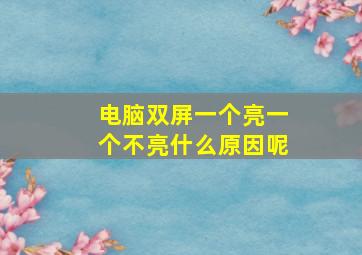 电脑双屏一个亮一个不亮什么原因呢