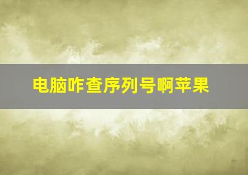 电脑咋查序列号啊苹果