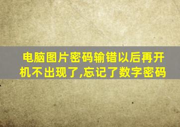 电脑图片密码输错以后再开机不出现了,忘记了数字密码