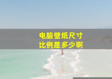 电脑壁纸尺寸比例是多少啊