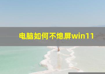 电脑如何不熄屏win11