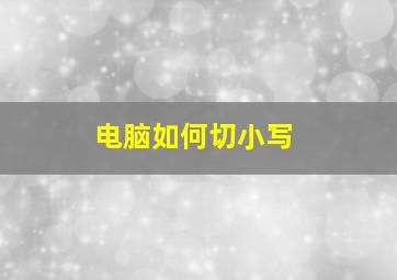 电脑如何切小写