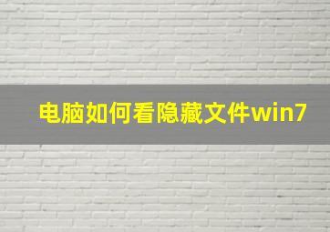 电脑如何看隐藏文件win7