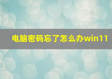 电脑密码忘了怎么办win11