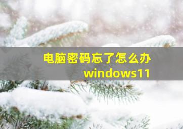 电脑密码忘了怎么办windows11