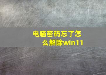 电脑密码忘了怎么解除win11