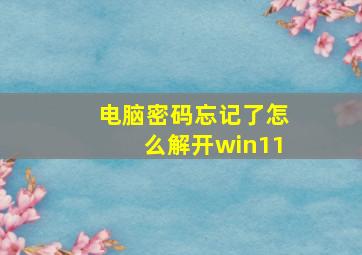 电脑密码忘记了怎么解开win11