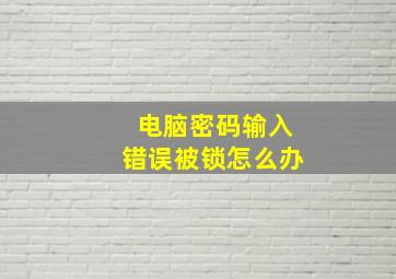 电脑密码输入错误被锁怎么办