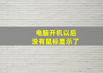 电脑开机以后没有鼠标显示了