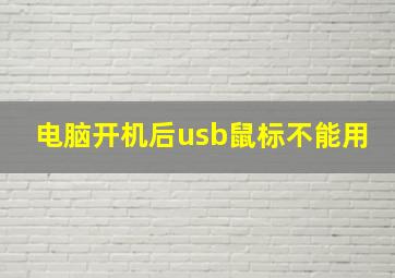 电脑开机后usb鼠标不能用