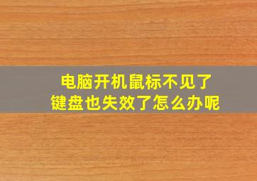 电脑开机鼠标不见了键盘也失效了怎么办呢