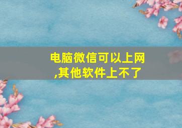 电脑微信可以上网,其他软件上不了