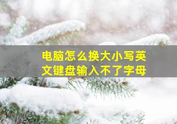 电脑怎么换大小写英文键盘输入不了字母