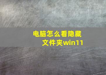 电脑怎么看隐藏文件夹win11