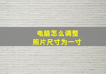 电脑怎么调整照片尺寸为一寸