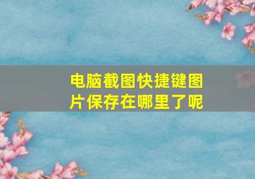 电脑截图快捷键图片保存在哪里了呢