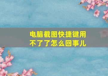 电脑截图快捷键用不了了怎么回事儿