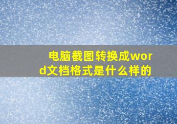 电脑截图转换成word文档格式是什么样的