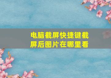 电脑截屏快捷键截屏后图片在哪里看