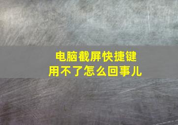 电脑截屏快捷键用不了怎么回事儿