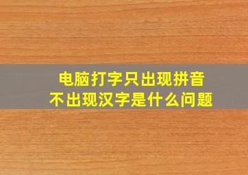 电脑打字只出现拼音不出现汉字是什么问题