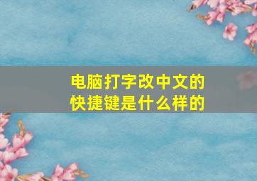 电脑打字改中文的快捷键是什么样的