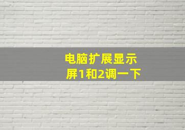 电脑扩展显示屏1和2调一下