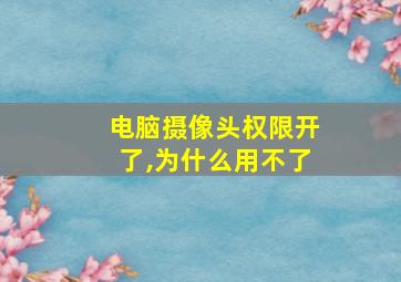 电脑摄像头权限开了,为什么用不了