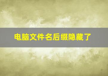 电脑文件名后缀隐藏了