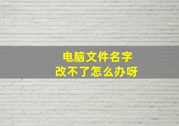 电脑文件名字改不了怎么办呀