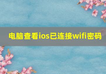 电脑查看ios已连接wifi密码